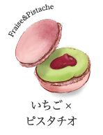 マカロン　いちご×ピスタチオ