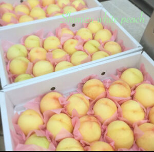 フランセの桃「小山農園」の画像