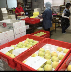 フランセの桃「小山農園」の画像